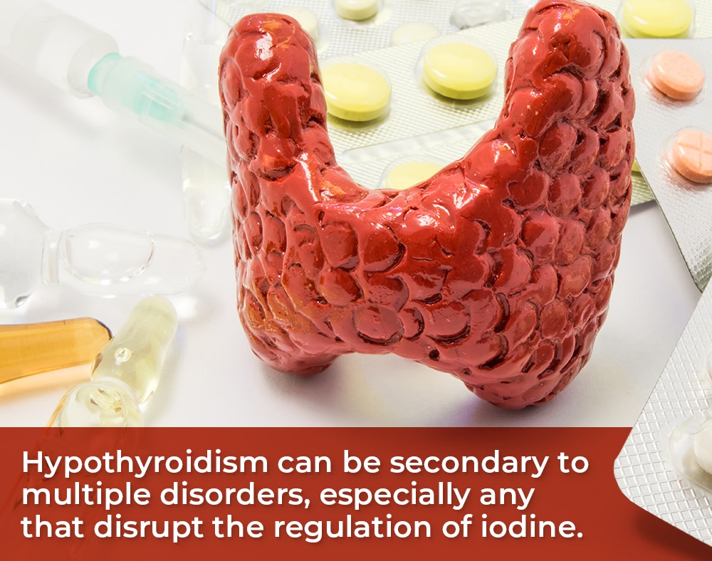 hypothyroidism and agent orange secondary issues