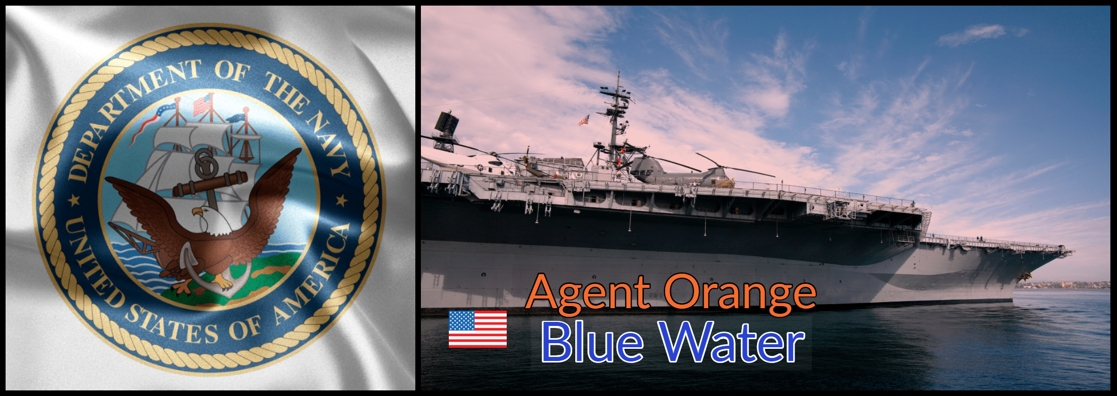 Blue Water Navy